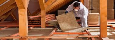 Best Basement Insulation  in Delavan, IL